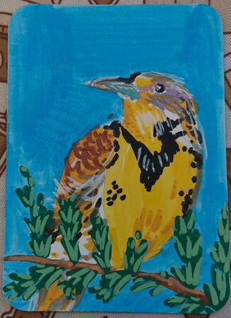 Western Meadowlark - Acrylic Marker