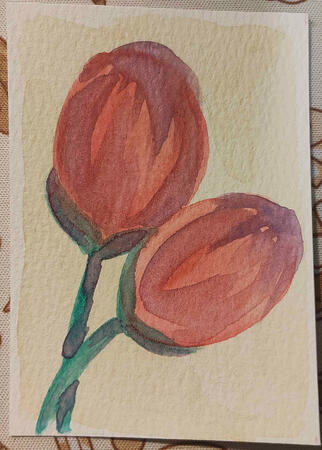 Tulips - watercolor